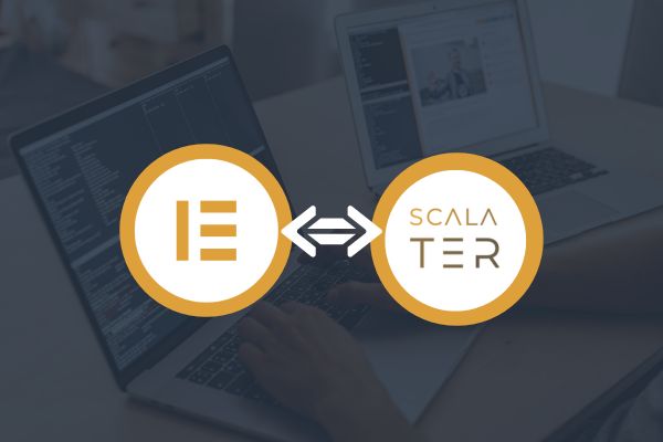 Harnessing Elementor and Programming Expertise: A TryCatch Success Story